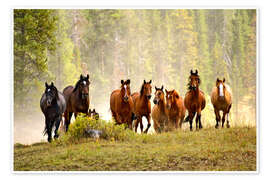 Wall art print Horses on a hill - Adam Jones