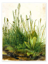 Poster Great Piece of Turf - Albrecht Dürer
