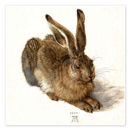 Poster Hare - Albrecht Dürer