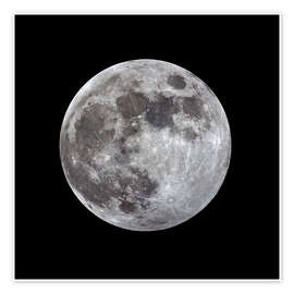 Poster Full moon - MonarchC
