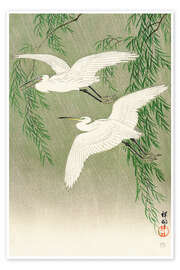 Wall art print White Herons - Ohara Koson