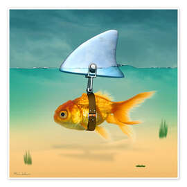 Poster Goldfish - Mark Ashkenazi