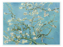 Poster Almond blossom - Vincent van Gogh