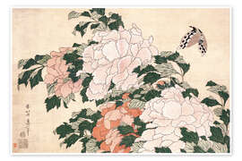 Poster Peonies and a Butterfly