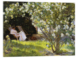 Acrylic print Roses - Peder Severin Krøyer