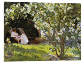 Foam board print Roses - Peder Severin Krøyer