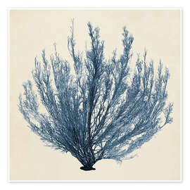 Wall art print Indigo Coral V - Vision Studio