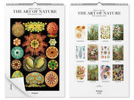 Wall art print Ernst Haeckel calendar - The Art of Nature 2026 - Ernst Haeckel