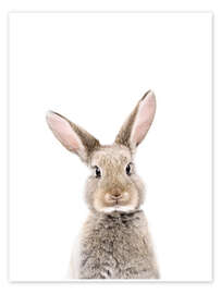 Wall art print Baby Rabbit - Sisi And Seb