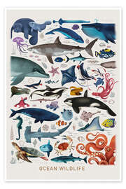 Wall art print Ocean Wildlife - Dieter Braun