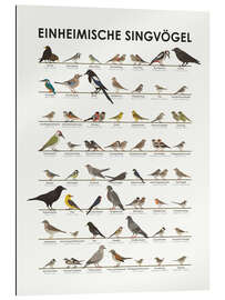 Gallery print Native songbirds (German) - Iris Luckhaus