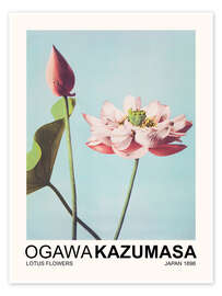 Poster Lotus Flowers - Ogawa Kazumasa