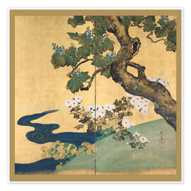 Wall art print Paulownias and Chrysanthemums - Sakai Hōitsu