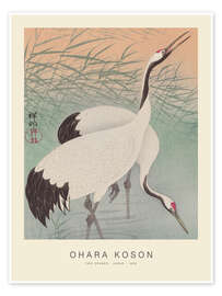 Wall art print Two Cranes, 1926 - Ohara Koson
