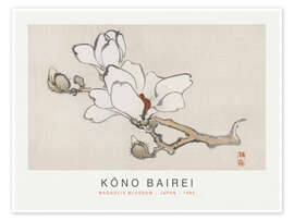 Wall art print Magnolia Blossom, Kono Bairei, 1895 - Kōno Bairei