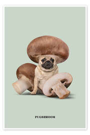 Poster Pugshroom - Jonas Loose