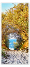 Door poster Golden Dune