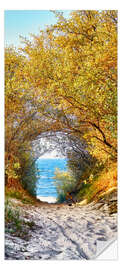 Door sticker Golden Dune