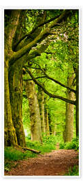 Door poster Beautiful spring colors in a forest