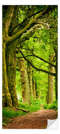 Door sticker Beautiful spring colors in a forest