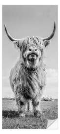 Door sticker Scottish Highland Cattle - Art Couture