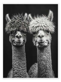 Poster Alpaca Love Forever - Frank Daske