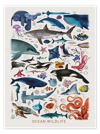 Wall art print Ocean Wildlife II - Dieter Braun