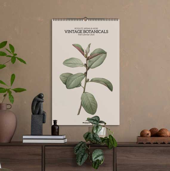 Wall calendars