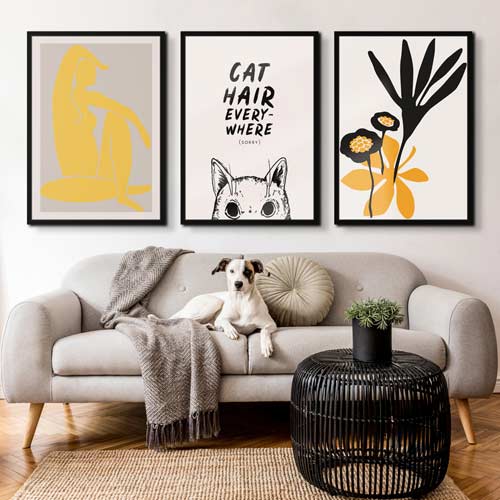 Illustrations