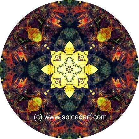 Meditation Mandala - Australia-Fire Scars 03