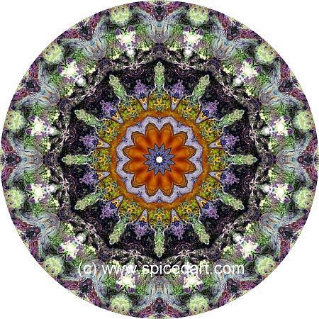 Mandala Art Print - Lake Carnegie 04