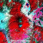 Mandala Art Print - Mexico-Colima Volcano Source Image