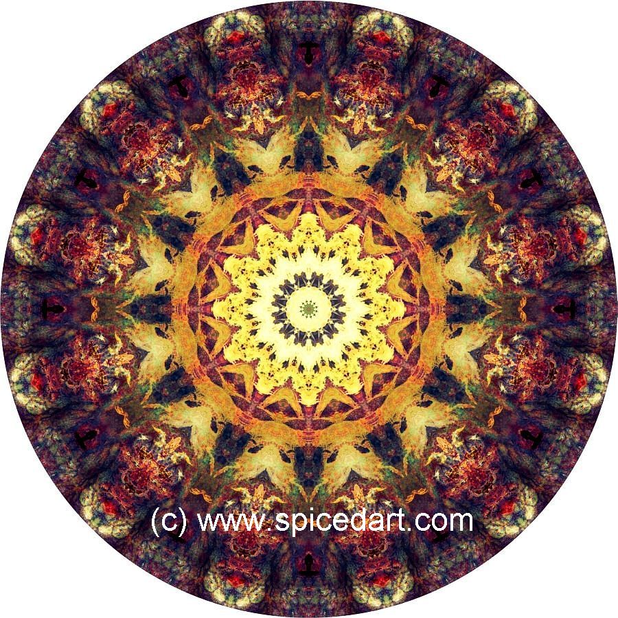 Gaia Mandala Art - Australia-Fire Scars 01