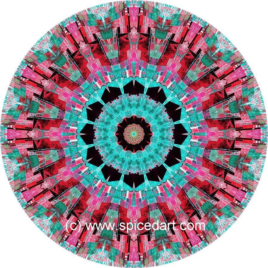 Art Mandalas - Bolivia-Deforestation 01