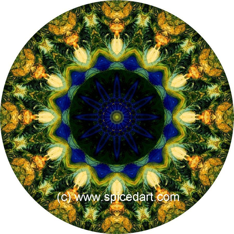 Mandala Art Print - Chile-Andes Mts 04