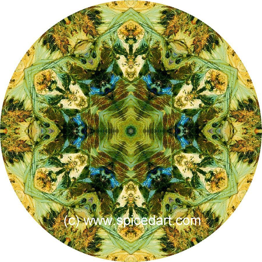 Digital Art Image - Chile-Andes Mts 05