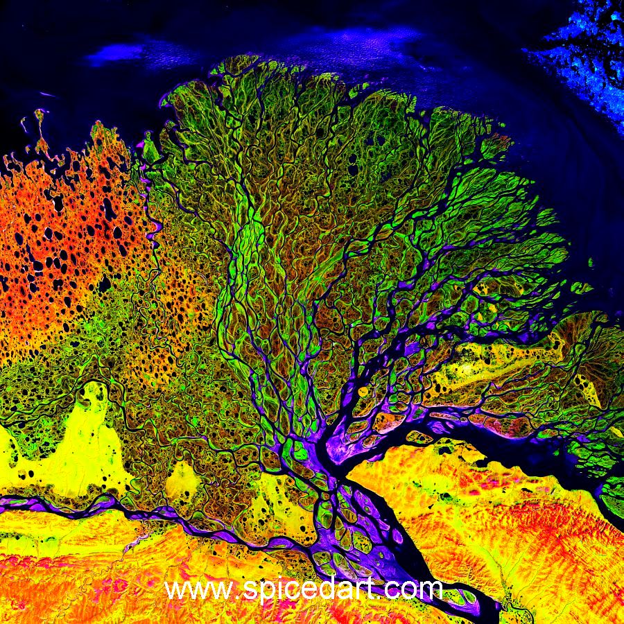 Robert Schmidt Art - Lena River Delta Source Image large view