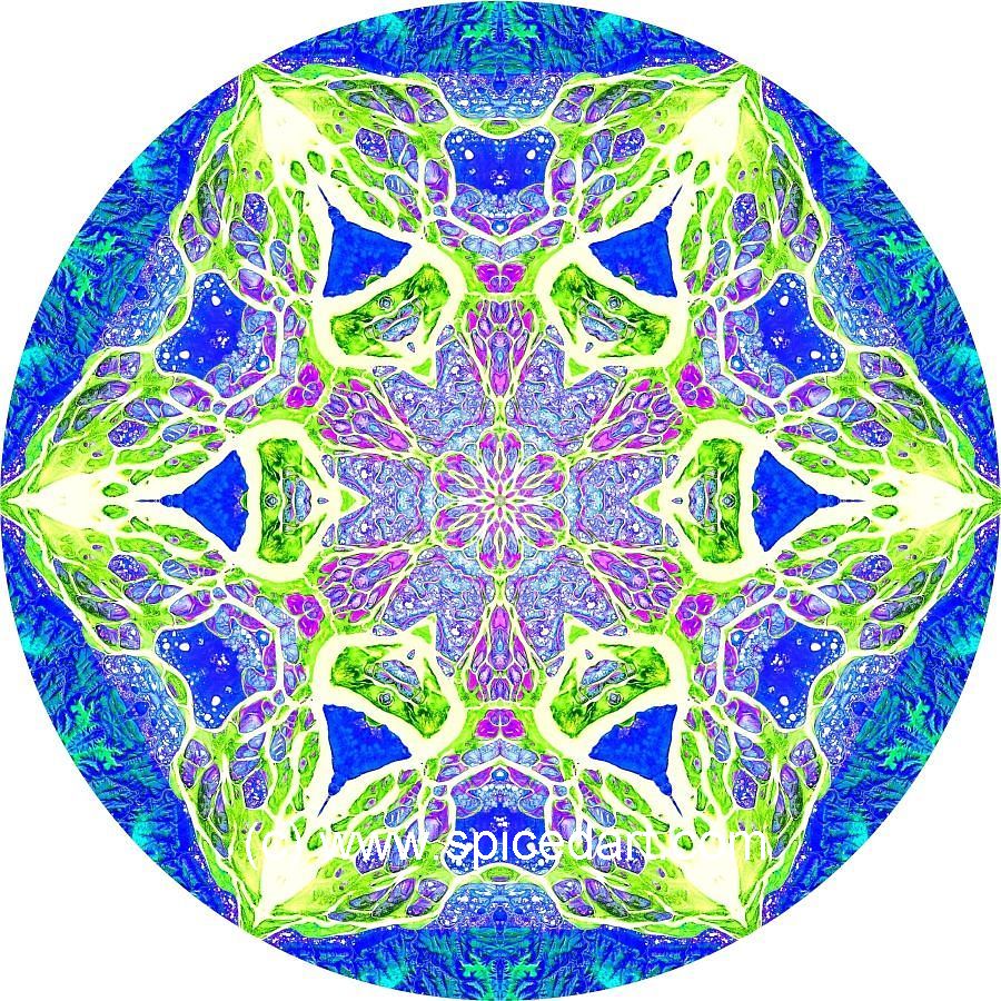 Mandala Art Print - Lena River Delta 02