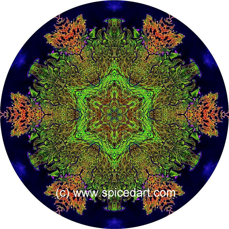 Mandala Art Print - Lena River Delta 03