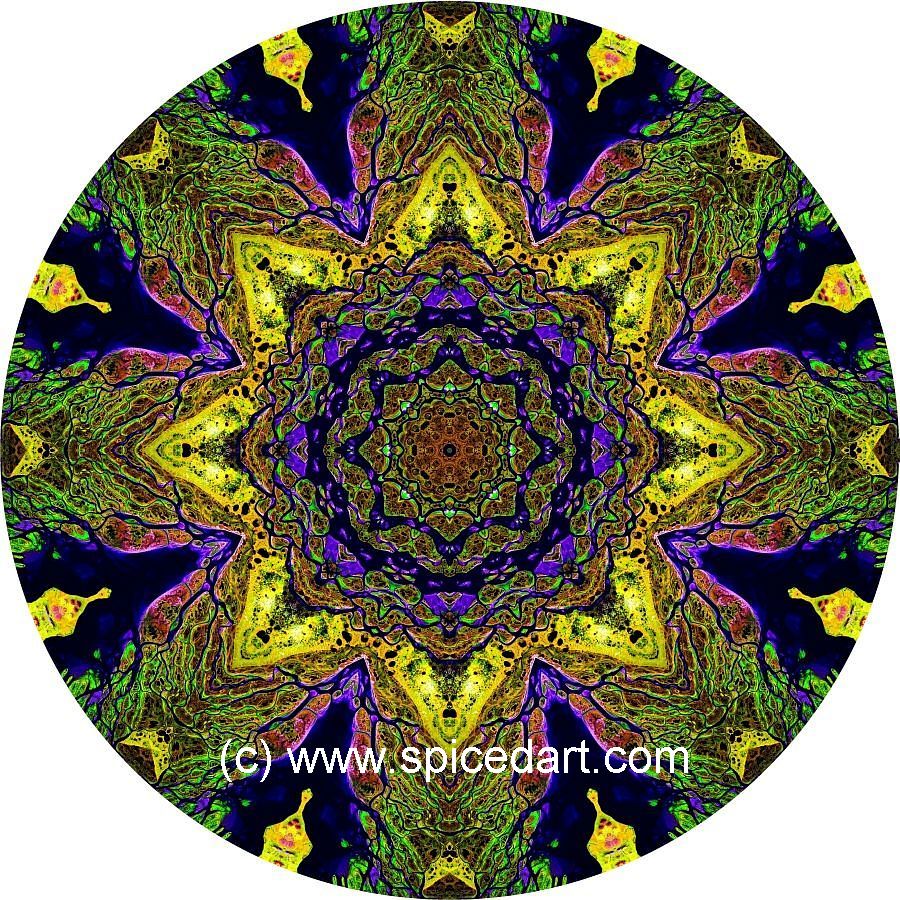 Mandala Art Print - Lena River Delta 09