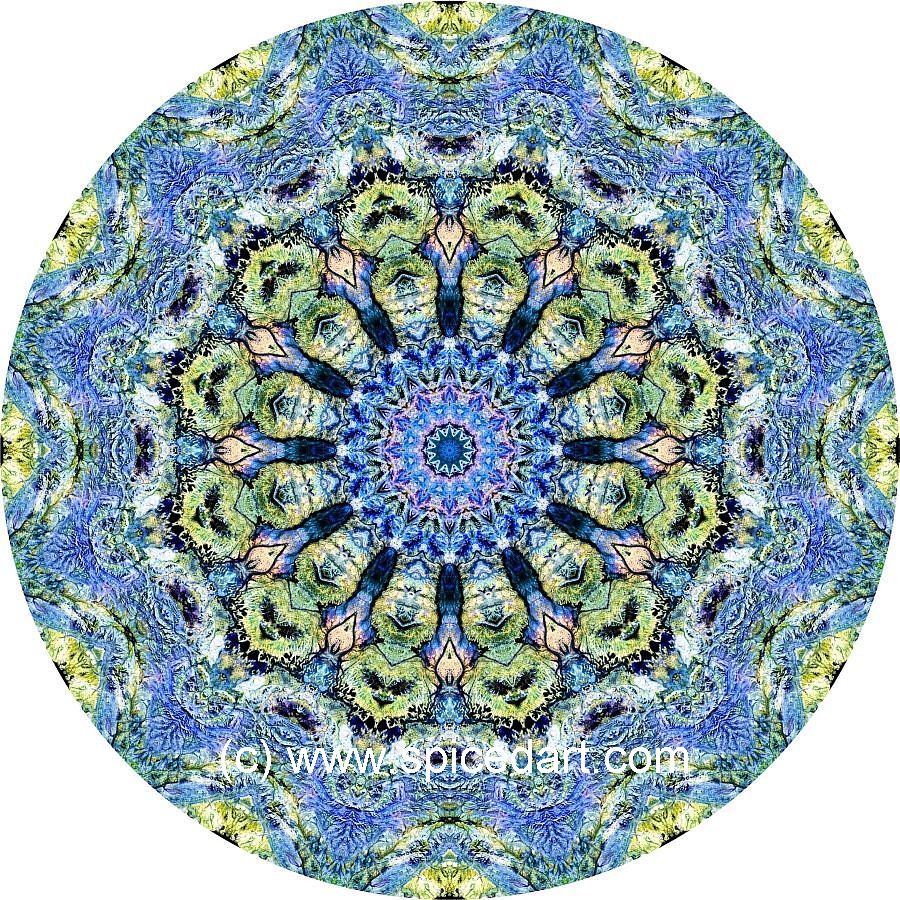 Mandala Art Print - MacDonnell Ranges 01