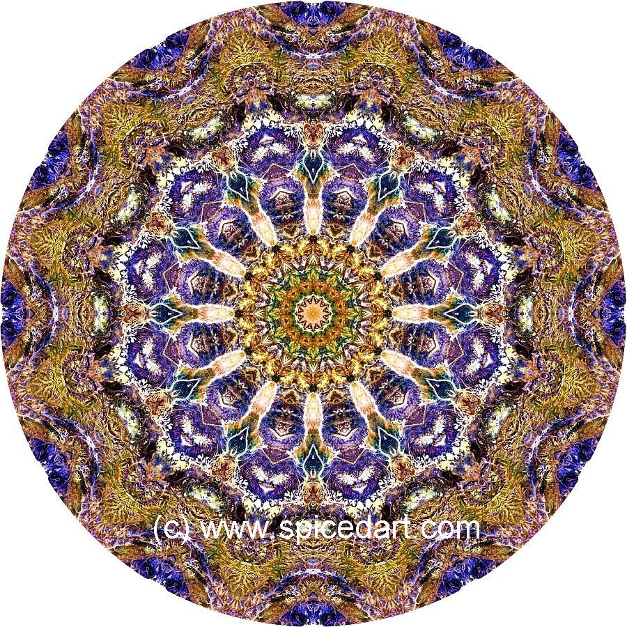 Gaia Mandala Art - MacDonnell Ranges 02