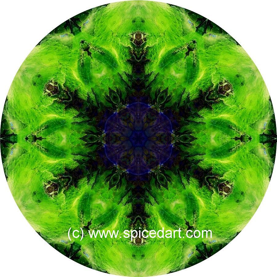 Mandala Art Print - Mauritania Formation 01