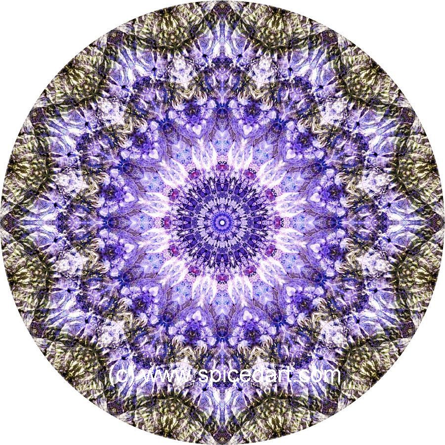 New Age Art - Namaqualand 01