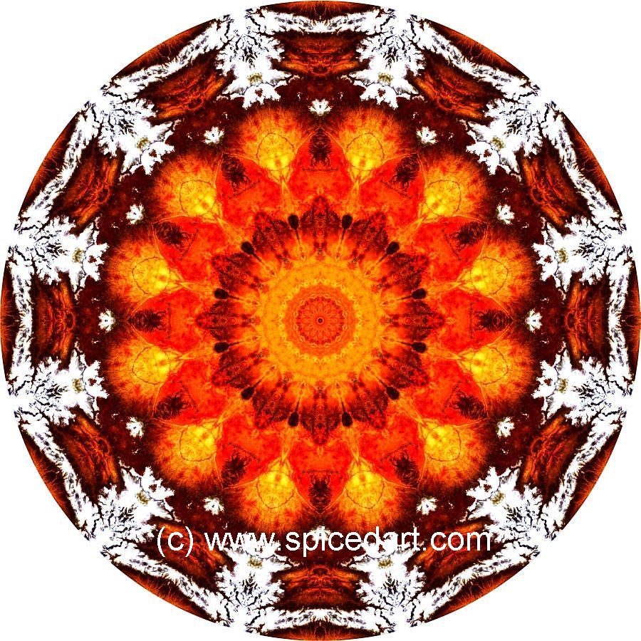 Mandala Art Print - North America 05