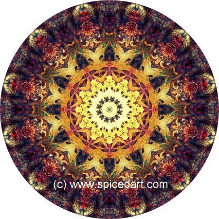 Gaia Mandala Art - Australia-Fire Scars 01