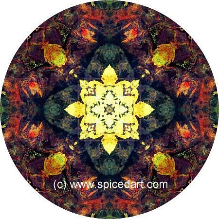 Meditation Mandala - Australia-Fire Scars 03