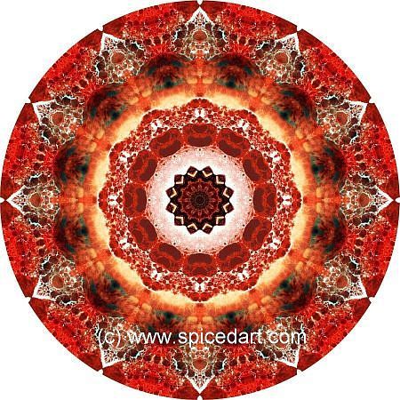 Robert Schmidt Art - Canada-Akpatok Isl 02