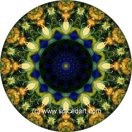 Mandala Art Print - Chile-Andes Mts 04