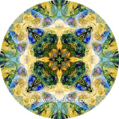 Mandala Art Print - Chile-Andes Mts 10